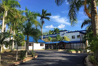 Campo Las Palmas